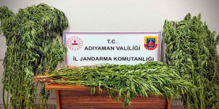 Adıyaman’da uyuşturucu operasyonu: 9 gözaltı, 2 tutuklama